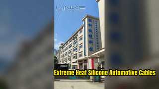 Introduzione in fabbrica di Dongguan Lianke Cable Technology Co., Ltd.