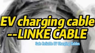 Tutto quello che devi sapere sui cavi di ricarica per veicoli elettrici