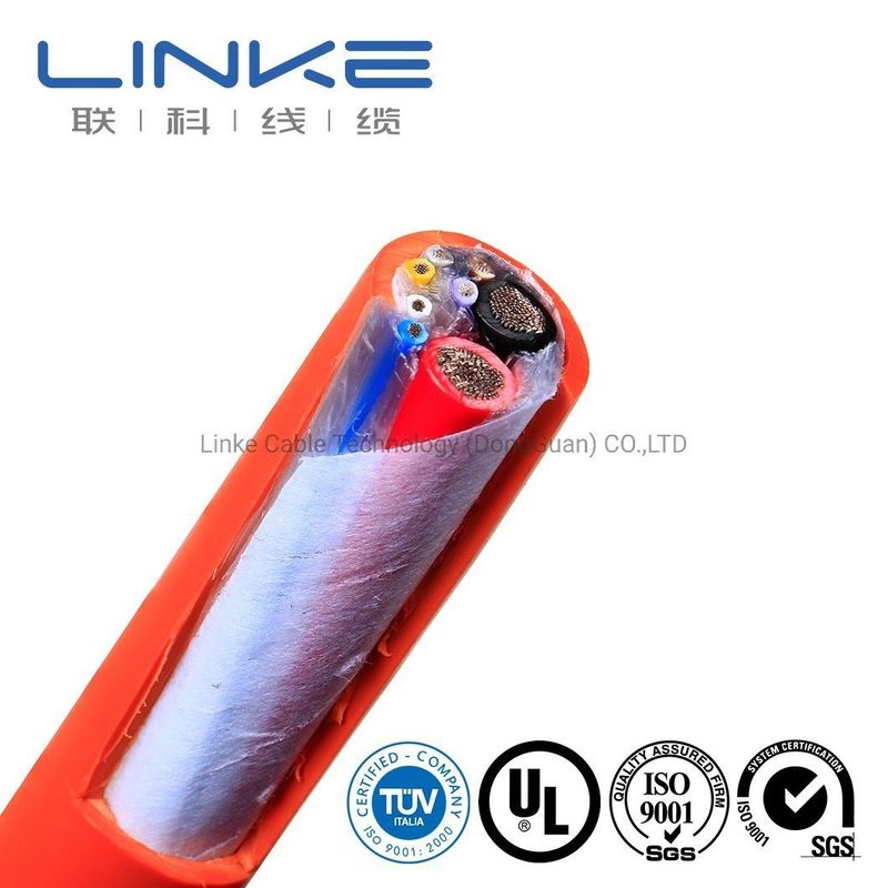 Cavo Caricabatterie EV di Alta Qualità con Nucleo in Rame e Ampio Intervallo di Temperatura per Applicazioni Automobilistiche